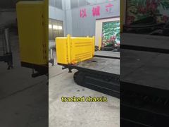 আপনার জন্য মাল্টিপারপাস স্টিল ক্রলার ট্র্যাক আন্ডারক্যারেজ মাউন্টেড মাইনিং ড্রিলিং মেশিন